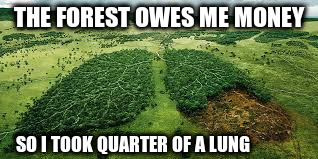 THE FOREST OWES ME MONEY SO I TOOK QUARTER OF A LUNG | made w/ Imgflip meme maker