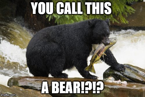 YOU CALL THIS; A BEAR!?!? | image tagged in you call this a bear | made w/ Imgflip meme maker