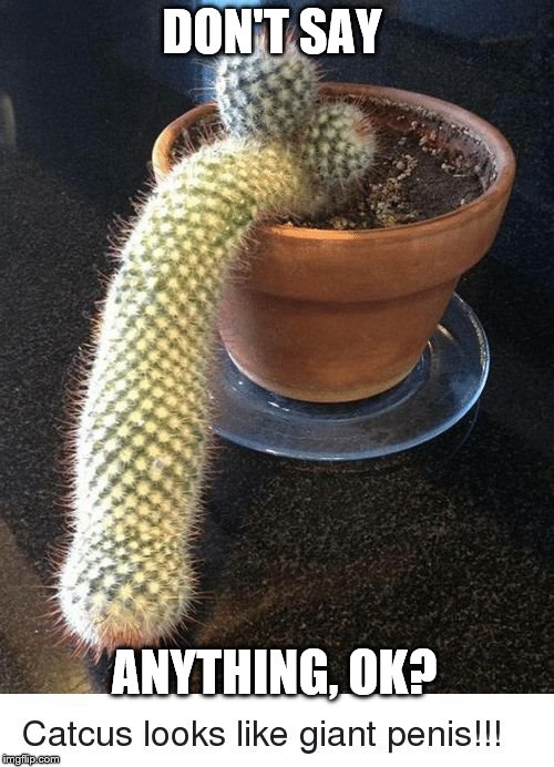prick-lee | DON'T SAY; ANYTHING, OK? | image tagged in prick-lee | made w/ Imgflip meme maker