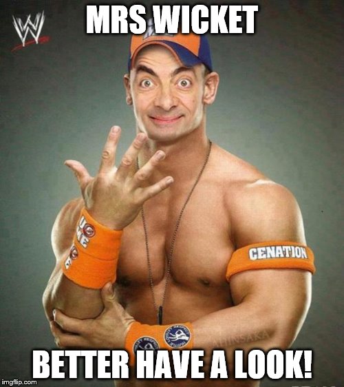 Mr Bean wrestler | MRS WICKET; BETTER HAVE A LOOK! | image tagged in mr bean wrestler | made w/ Imgflip meme maker