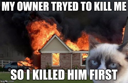 Burn Kitty | MY OWNER TRYED TO KILL ME; SO I KILLED HIM FIRST | image tagged in memes,burn kitty,grumpy cat | made w/ Imgflip meme maker