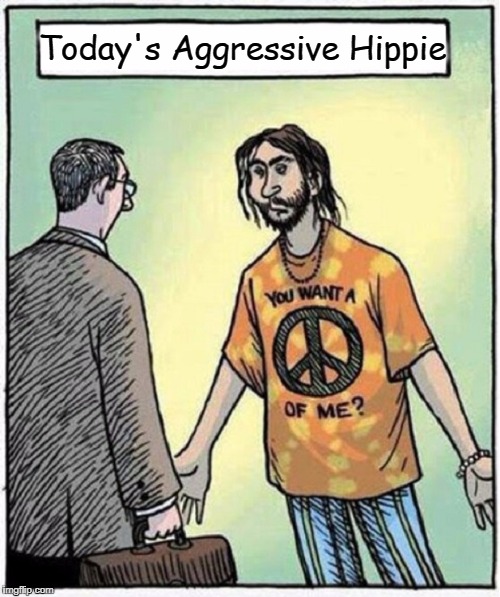 I Miss the Peace & Love Hippies of the 60s | Today's Aggressive Hippie | image tagged in vince vance,hippie,antifa,college liberal,rioters,lib protestors | made w/ Imgflip meme maker