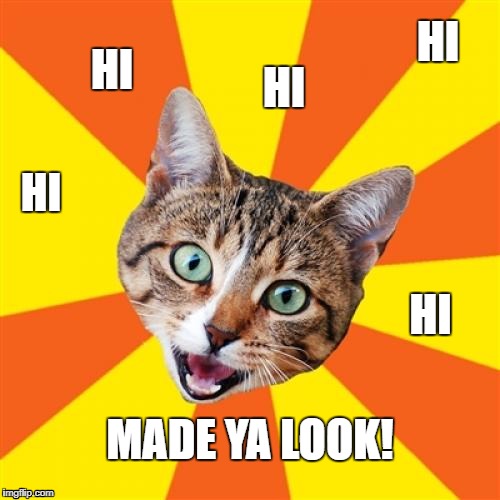 heh heh... heh   i guess i should stop with the cat memes | HI; HI; HI; HI; HI; MADE YA LOOK! | image tagged in memes,bad advice cat | made w/ Imgflip meme maker