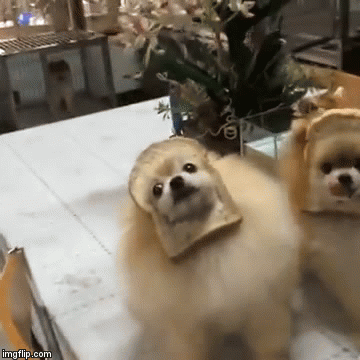 flirting meme with bread machines video youtube flirting meme with bread machines video youtube
