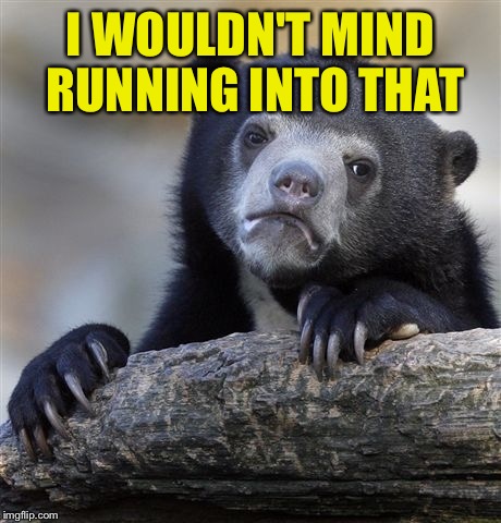 Confession Bear Meme | I WOULDN'T MIND RUNNING INTO THAT | image tagged in memes,confession bear | made w/ Imgflip meme maker