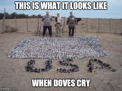 THIS IS WHAT IT LOOKS LIKE WHEN DOVES CRY | made w/ Imgflip meme maker