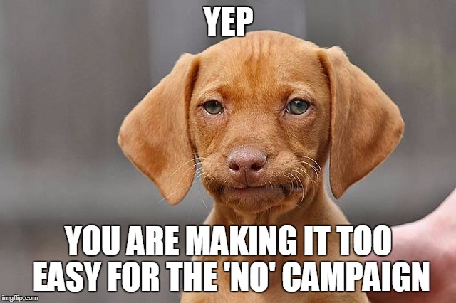 Kinda Done Dog | YEP; YOU ARE MAKING IT TOO EASY FOR THE 'NO' CAMPAIGN | image tagged in kinda done dog | made w/ Imgflip meme maker