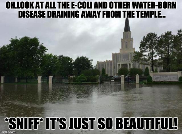 I love to sea the temple | OH,LOOK AT ALL THE E-COLI AND OTHER WATER-BORN DISEASE DRAINING AWAY FROM THE TEMPLE... *SNIFF* IT'S JUST SO BEAUTIFUL! | image tagged in mormon,flooded,sheeple | made w/ Imgflip meme maker