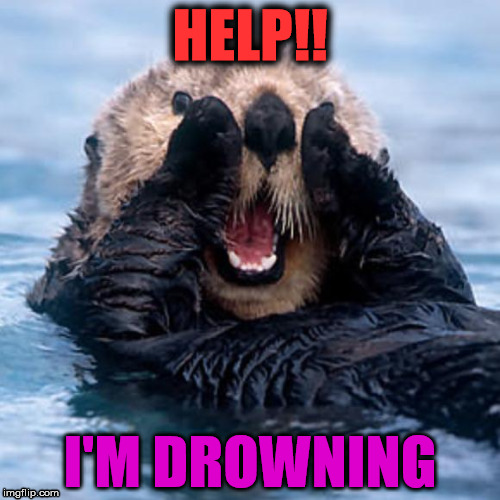 Shouting Otter | HELP!! I'M DROWNING | image tagged in shouting otter | made w/ Imgflip meme maker