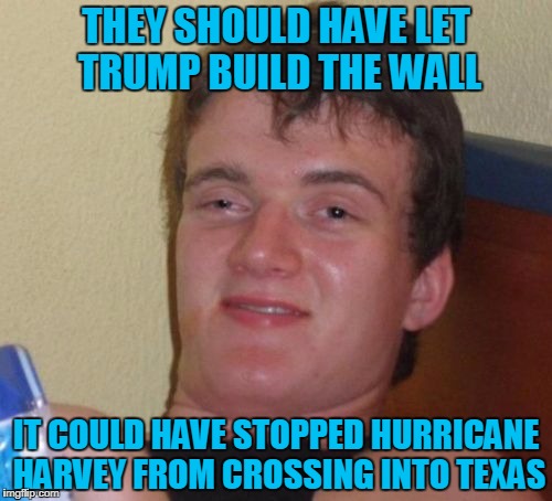 10 Guy Logic:  Build that Wall | THEY SHOULD HAVE LET TRUMP BUILD THE WALL; IT COULD HAVE STOPPED HURRICANE HARVEY FROM CROSSING INTO TEXAS | image tagged in 10 guy,hurricane harvey,build that wall | made w/ Imgflip meme maker