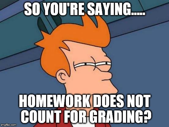 Futurama Fry | SO YOU'RE SAYING..... HOMEWORK DOES NOT COUNT FOR GRADING? | image tagged in memes,futurama fry | made w/ Imgflip meme maker