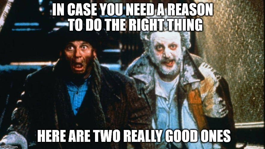 The Reasons | IN CASE YOU NEED A REASON  TO DO THE RIGHT THING; HERE ARE TWO REALLY GOOD ONES | image tagged in i'm with stupid,i am the bigger idiot,idiots,special kind of stupid,dumb and dumber,doing the right things | made w/ Imgflip meme maker