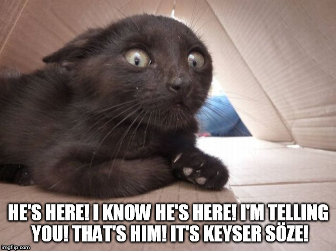 Paranoid Cat | image tagged in cat paranoid keyser soze | made w/ Imgflip meme maker