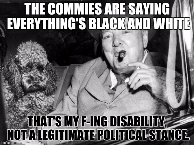 THE COMMIES ARE SAYING EVERYTHING'S BLACK AND WHITE THAT'S MY F-ING DISABILITY, NOT A LEGITIMATE POLITICAL STANCE. | made w/ Imgflip meme maker