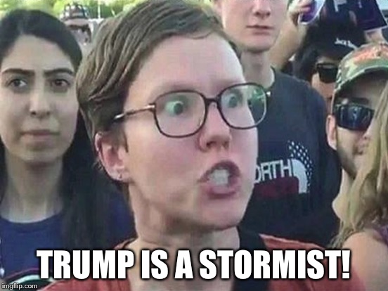 TRUMP IS A STORMIST! | made w/ Imgflip meme maker