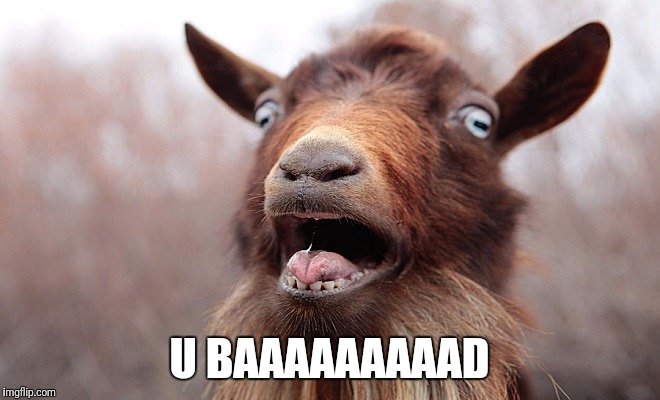 Shocked goat | U BAAAAAAAAAD | image tagged in shocked goat | made w/ Imgflip meme maker