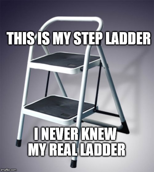 Step Ladder THIS IS MY STEP LADDER; I NEVER KNEW MY REAL LADDER image tagge...