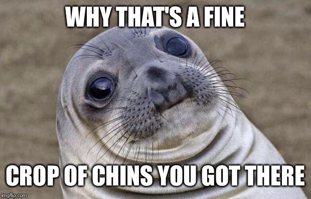 Awkward Moment Sealion Meme | WHY THAT'S A FINE; CROP OF CHINS YOU GOT THERE | image tagged in memes,awkward moment sealion | made w/ Imgflip meme maker
