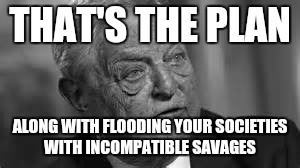 THAT'S THE PLAN ALONG WITH FLOODING YOUR SOCIETIES WITH INCOMPATIBLE SAVAGES | made w/ Imgflip meme maker