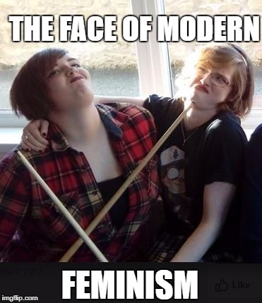 The face of Modern Feminism | THE FACE OF MODERN; FEMINISM | image tagged in feminism,misandry,male bashing,man hating,modern feminism | made w/ Imgflip meme maker