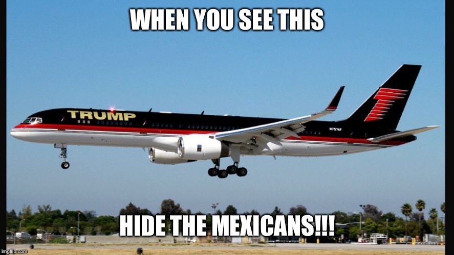 WHEN YOU SEE THIS; HIDE THE MEXICANS!!! | image tagged in hidethemexicans | made w/ Imgflip meme maker