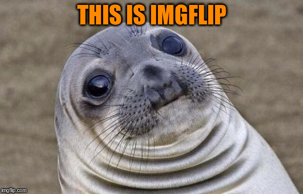Awkward Moment Sealion Meme | THIS IS IMGFLIP | image tagged in memes,awkward moment sealion | made w/ Imgflip meme maker