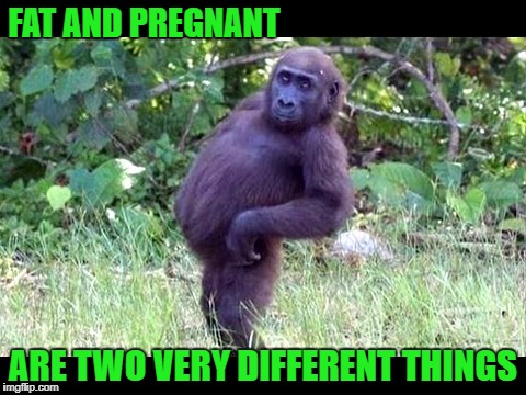 Pregnant Ape | FAT AND PREGNANT; ARE TWO VERY DIFFERENT THINGS | image tagged in pregnant ape | made w/ Imgflip meme maker