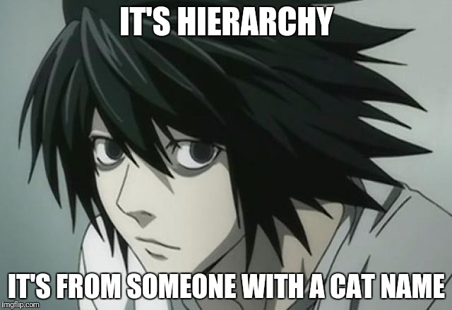 IT'S HIERARCHY IT'S FROM SOMEONE WITH A CAT NAME | made w/ Imgflip meme maker