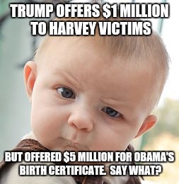 Skeptical Baby Meme | TRUMP OFFERS $1 MILLION TO HARVEY VICTIMS; BUT OFFERED $5 MILLION FOR OBAMA'S BIRTH CERTIFICATE.  SAY WHAT? | image tagged in memes,skeptical baby | made w/ Imgflip meme maker