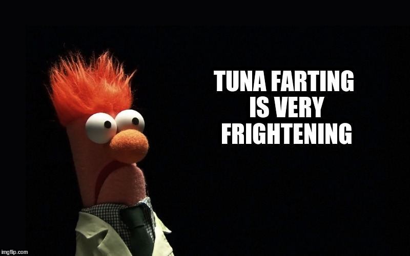 TUNA FARTING IS VERY FRIGHTENING | made w/ Imgflip meme maker