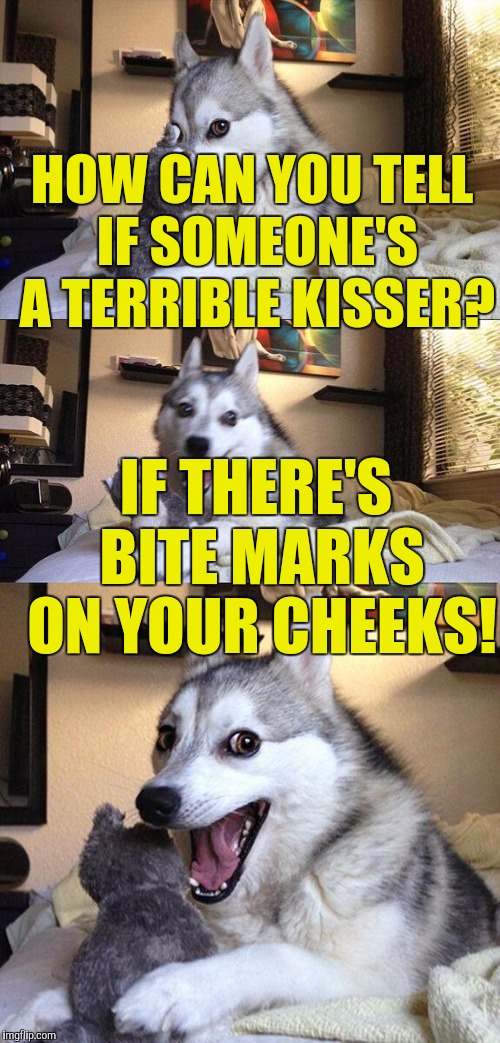 Ass kissers, you're the real MVP's | HOW CAN YOU TELL IF SOMEONE'S A TERRIBLE KISSER? IF THERE'S BITE MARKS ON YOUR CHEEKS! | image tagged in memes,bad pun dog | made w/ Imgflip meme maker