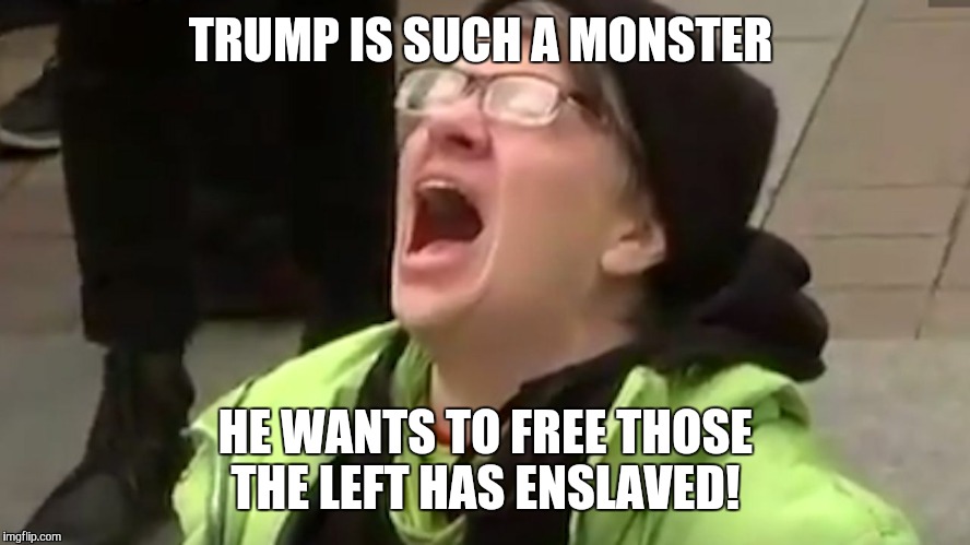 Screaming Liberal  | TRUMP IS SUCH A MONSTER; HE WANTS TO FREE THOSE THE LEFT HAS ENSLAVED! | image tagged in screaming liberal | made w/ Imgflip meme maker