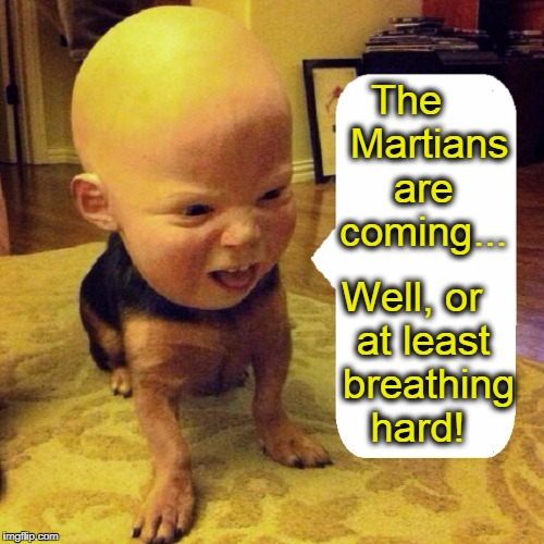 The Dog Baby Speaks | The    Martians   are    coming... Well, or  at least   breathing hard! | image tagged in vince vance,the martians are coming,dog with a baby head,baby with a dog body,wierd pictures,freaky pictures | made w/ Imgflip meme maker