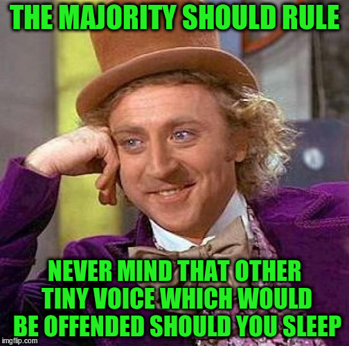 Creepy Condescending Wonka Meme | THE MAJORITY SHOULD RULE NEVER MIND THAT OTHER TINY VOICE WHICH WOULD BE OFFENDED SHOULD YOU SLEEP | image tagged in memes,creepy condescending wonka | made w/ Imgflip meme maker