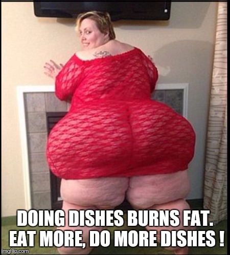 Memes | DOING DISHES BURNS FAT. EAT MORE, DO MORE DISHES ! | image tagged in memes | made w/ Imgflip meme maker