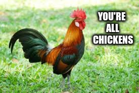 YOU'RE ALL CHICKENS | made w/ Imgflip meme maker