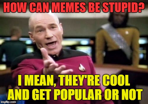 Picard Wtf Meme | HOW CAN MEMES BE STUPID? I MEAN, THEY'RE COOL AND GET POPULAR OR NOT | image tagged in memes,picard wtf | made w/ Imgflip meme maker