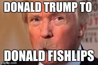 Donald Trump | DONALD TRUMP TO; DONALD FISHLIPS | image tagged in donald trump | made w/ Imgflip meme maker