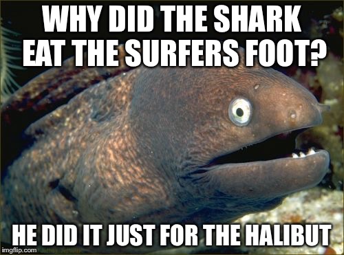 Bad Joke Eel | WHY DID THE SHARK EAT THE SURFERS FOOT? HE DID IT JUST FOR THE HALIBUT | image tagged in memes,bad joke eel | made w/ Imgflip meme maker