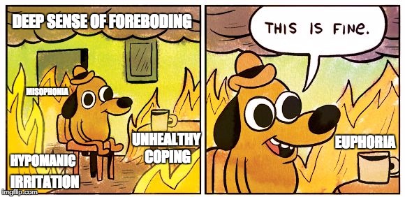 This Is Fine Meme | DEEP SENSE OF FOREBODING; MISOPHONIA; EUPHORIA; UNHEALTHY COPING; HYPOMANIC; IRRITATION | image tagged in this is fine dog,bipolar | made w/ Imgflip meme maker