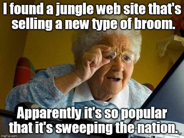 Grandma finds Amazon. | I found a jungle web site that's selling a new type of broom. Apparently it's so popular that it's sweeping the nation. | image tagged in memes,grandma finds the internet | made w/ Imgflip meme maker