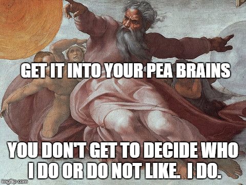 Sistine Chapel God | GET IT INTO YOUR PEA BRAINS; YOU DON'T GET TO DECIDE WHO I DO OR DO NOT LIKE.  I DO. | image tagged in sistine chapel god | made w/ Imgflip meme maker