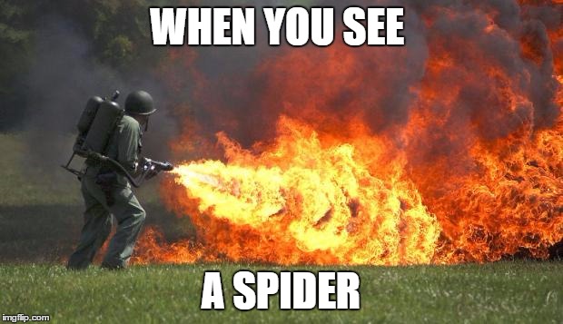 flamethrower | WHEN YOU SEE; A SPIDER | image tagged in flamethrower | made w/ Imgflip meme maker