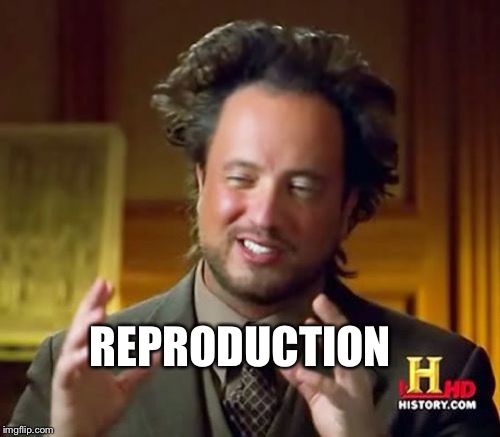 Ancient Aliens | REPRODUCTION | image tagged in memes,ancient aliens | made w/ Imgflip meme maker