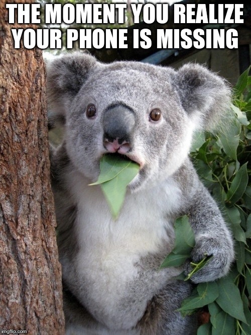 Surprised Koala | THE MOMENT YOU REALIZE YOUR PHONE IS MISSING | image tagged in memes,surprised coala | made w/ Imgflip meme maker