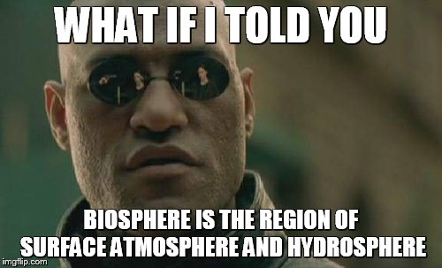 Matrix Morpheus Meme | WHAT IF I TOLD YOU; BIOSPHERE IS THE REGION OF SURFACE ATMOSPHERE AND HYDROSPHERE | image tagged in memes,matrix morpheus | made w/ Imgflip meme maker