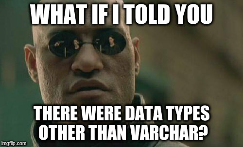 Matrix Morpheus Meme | WHAT IF I TOLD YOU; THERE WERE DATA TYPES OTHER THAN VARCHAR? | image tagged in memes,matrix morpheus,programminghorror | made w/ Imgflip meme maker