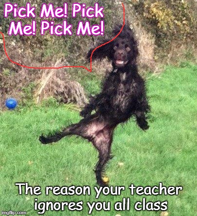 Pick Me! Pick Me! Pick Me! The reason your teacher ignores you all class | image tagged in picker | made w/ Imgflip meme maker