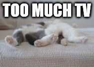 Tired cats | TOO MUCH TV | image tagged in tired cats | made w/ Imgflip meme maker