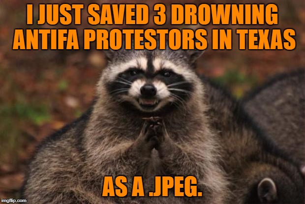 Hero. | I JUST SAVED 3 DROWNING ANTIFA PROTESTORS IN TEXAS; AS A .JPEG. | image tagged in evil genius racoon | made w/ Imgflip meme maker